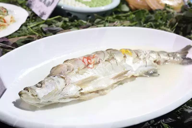 带你吃遍每个城市的特色菜,魅力城美食