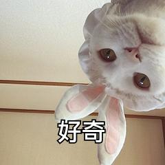 国产wps好用还是国外wps好用,国产wps办公软件哪个好用