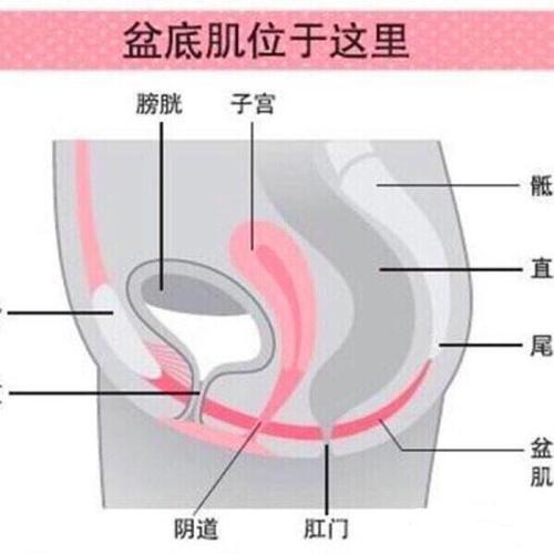 baby和杨幂的身材对比,杨幂产后身材依然完美