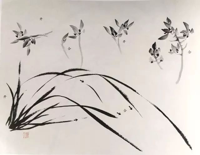 如何画兰花图片大全大图,怎么样画兰花才能好看