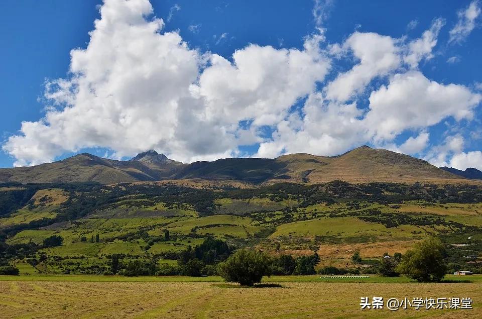 我眼中的缤纷世界写作指导,我眼中的我作文提纲