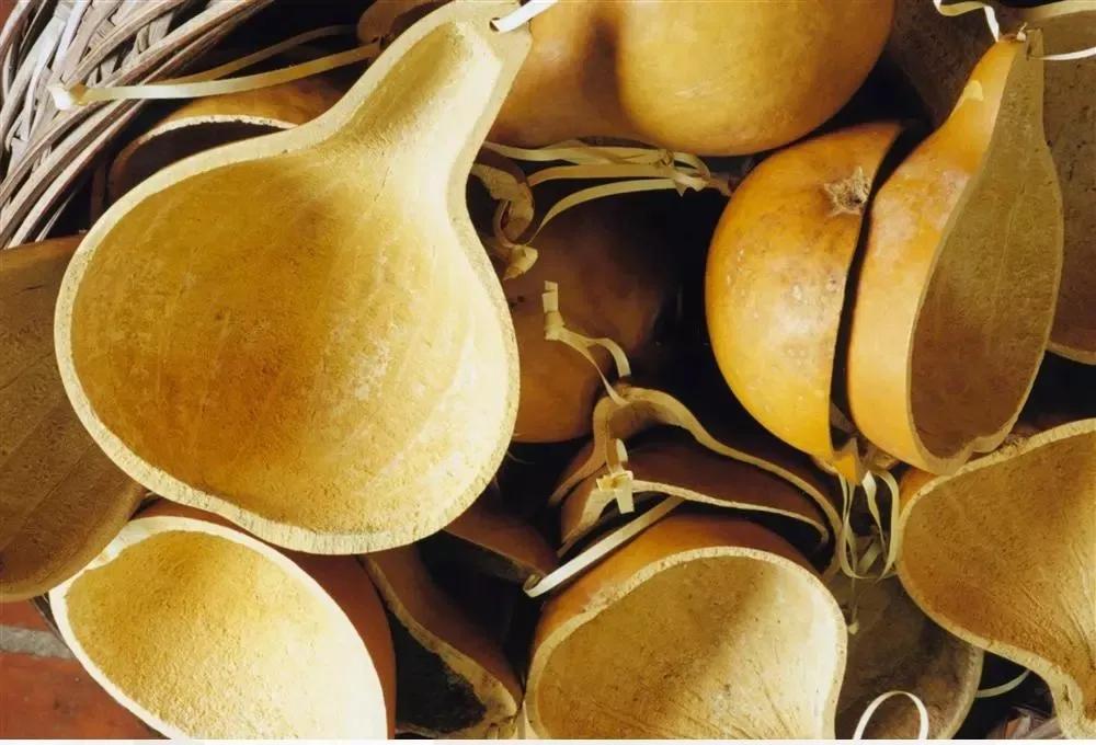 生活能手小葫芦,是*疆新**艺术的“灵感缪斯”