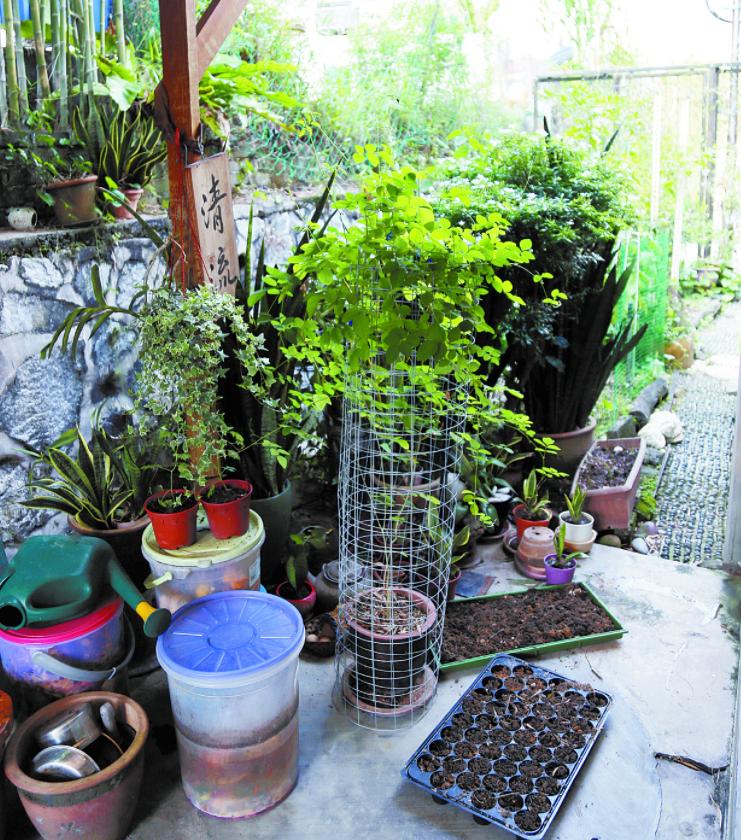 衣食住行离不开大自然,我们的衣食住行离不开大自然