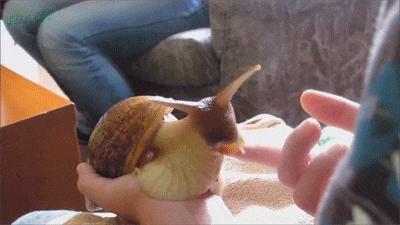 搞笑gif开心一刻单身也挺好,搞笑gif开心视频