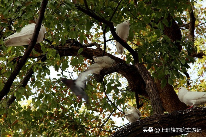 周末微旅行：秦望山麓访名校，白沙堤岸醉桃柳（第二季）