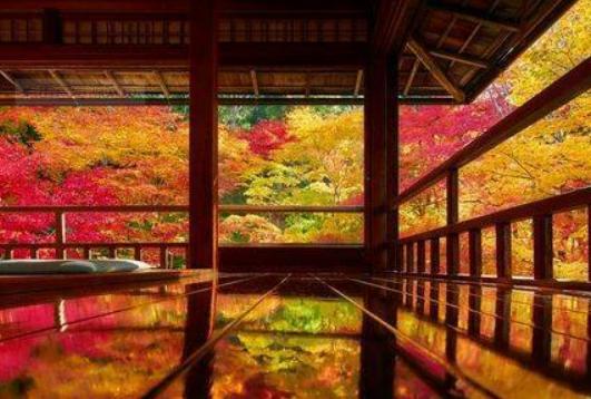 日本旅游从大阪到东京路线,第一次去日本应该怎么玩