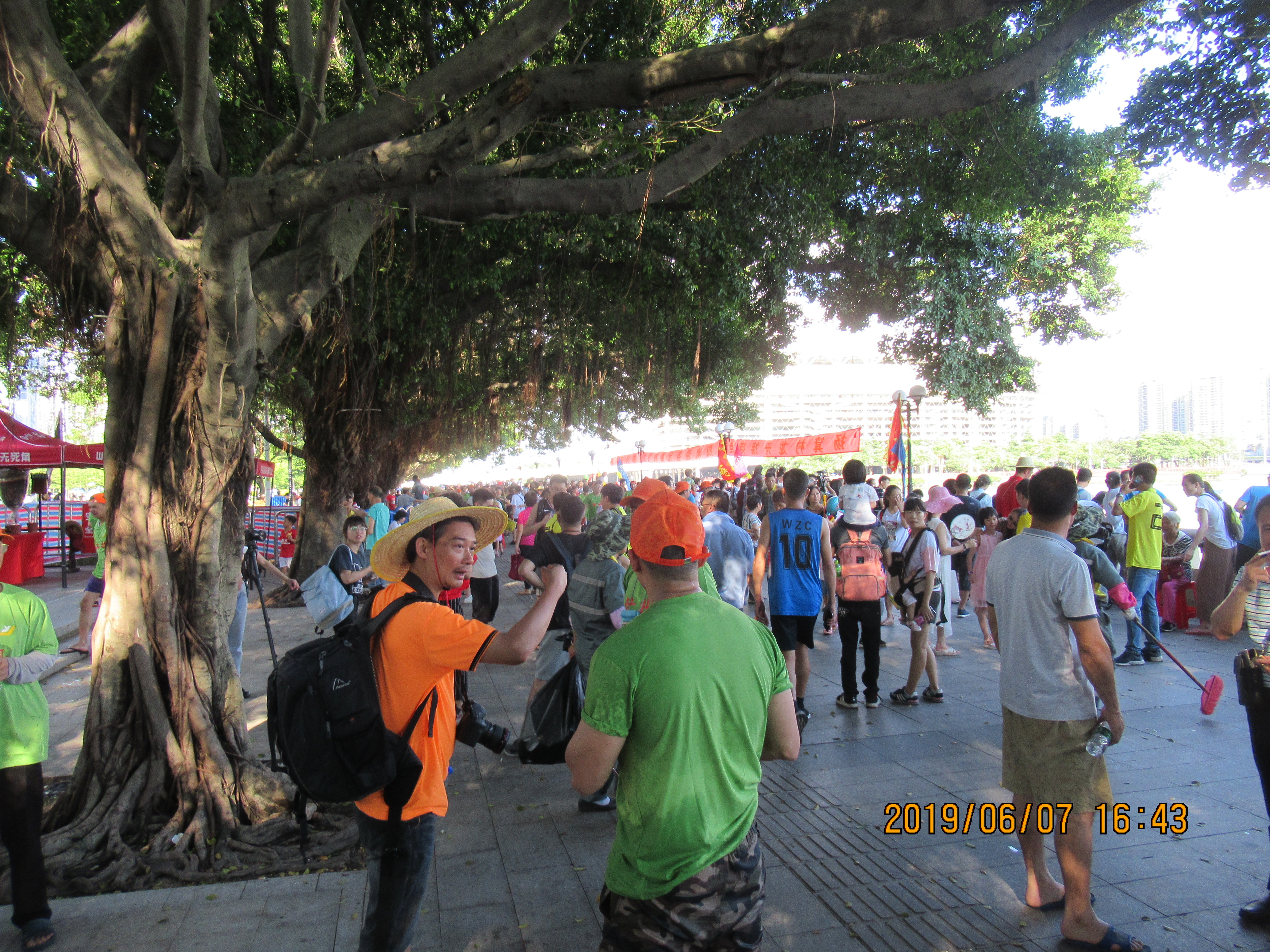 杨箕龙舟,杨箕村龙舟