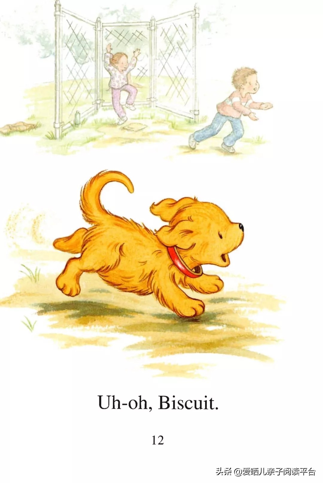 英文有声绘本《BiscuitPlaysBall》