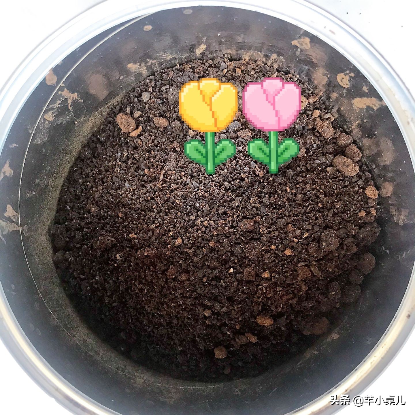 速溶咖啡挂耳咖啡选哪个,挂耳咖啡和胶囊咖啡哪个好