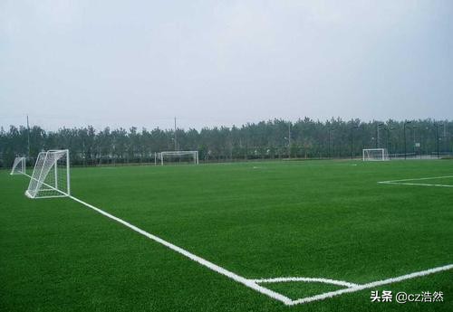 11人制足球场多少平方,10人制足球场造价多少钱