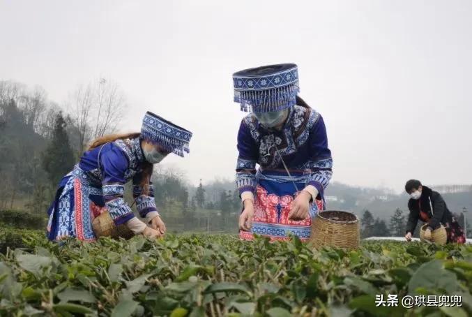 珙县孝儿、洛亥、上罗、玉和....全县都在做这样一件事情