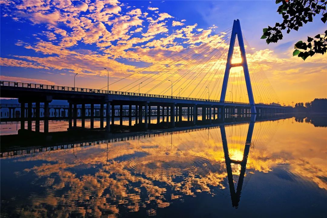 山东百强县2021年排名,山东2021百强县排名榜