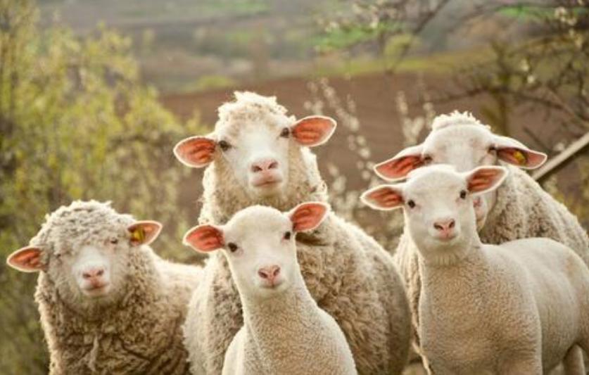 要想皮肤好用什么护肤品,伊能静去皱面霜