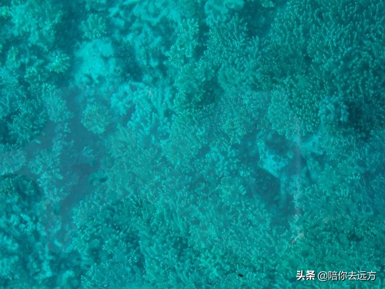 南海西沙岛礁全图,南海西沙群岛海域