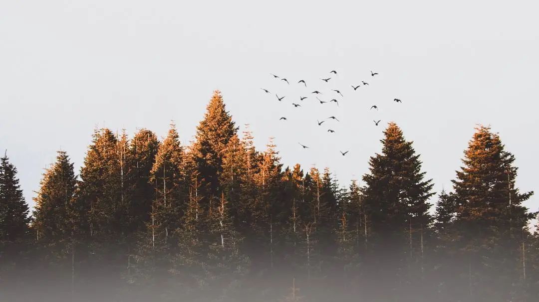 刘力红是什么样的,刘力红三和学院