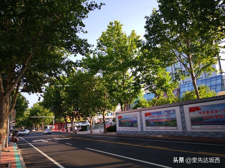 地摊卖瓜记,吃瓜随笔视频