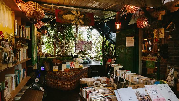 百年树屋，天空之镜，红砖市集，跳蚤市场…尽在锦田