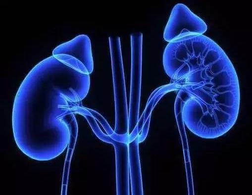 过敏性紫癜引起尿潜血怎么办,过敏性紫癜出现尿潜血