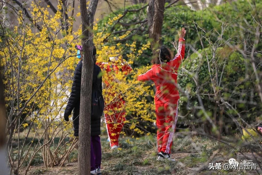 天津2022哪些公园恢复开放,天津临港亲海公园什么时候开放