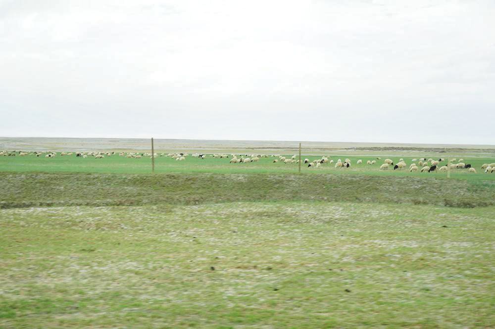 坦克300环青海长测Day5十块茫崖翡翠湖买个乐恶魔之眼震撼人心