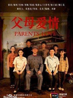 父母爱情中的经典爱情评价,如何评价父母爱情原著小说