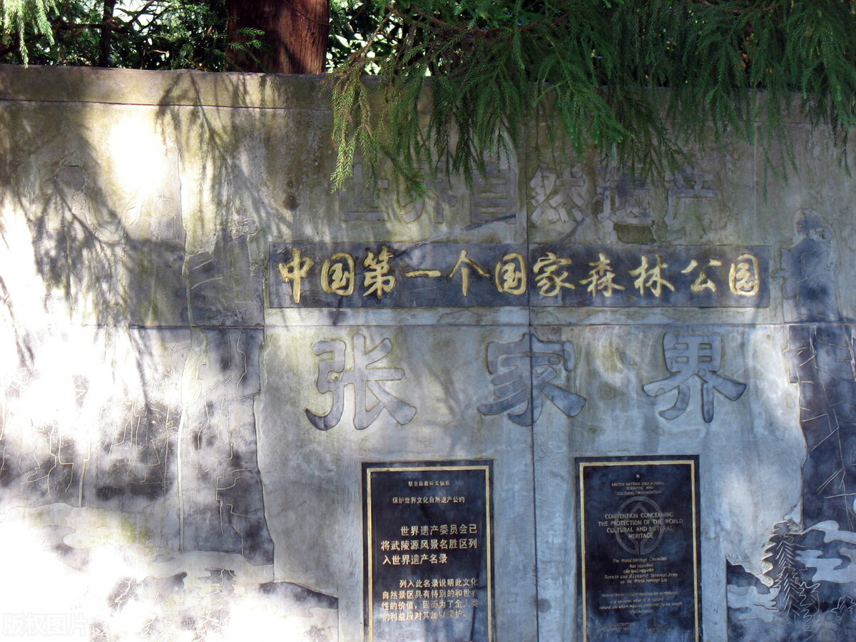 孟晚舟在张家界,孟晚舟来张家界旅游全视频