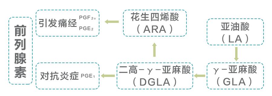 网红爆款保健产品,网红保健商品