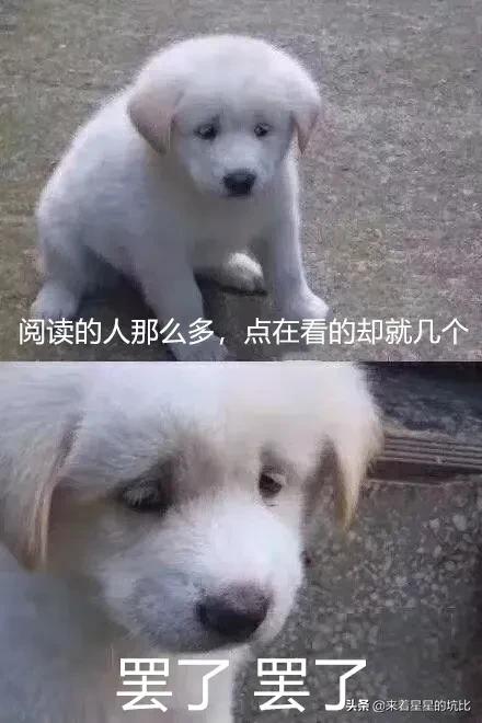 别把什么都发到网上,不要什么事都晒在朋友圈