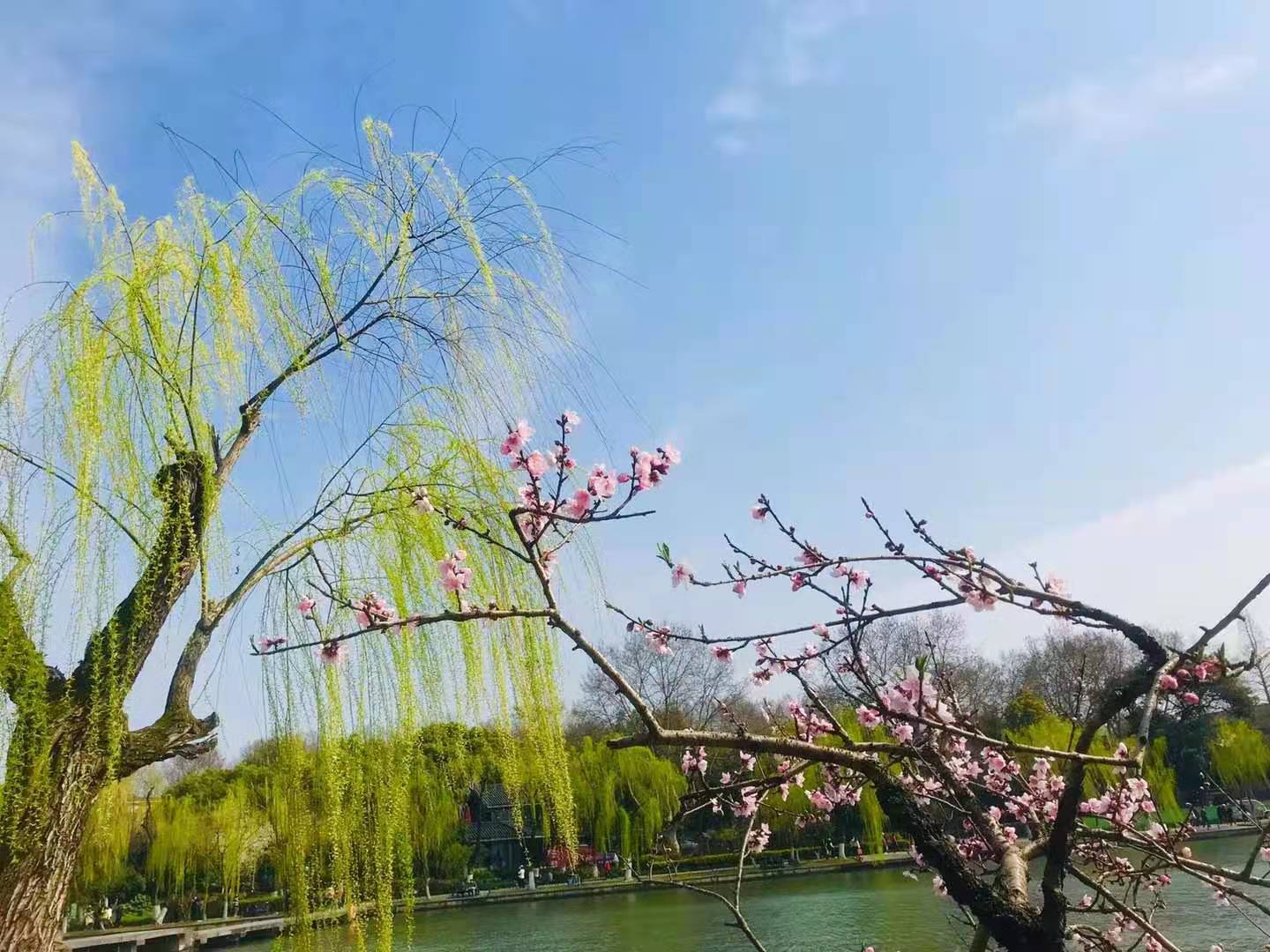 二年级下册第一单元教材分析,统编二年级下册第三单元整体教学