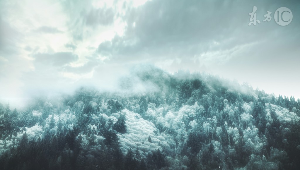 少年为修炼神功买下所有丹药,少年获得一本靠挨打就变强的功法