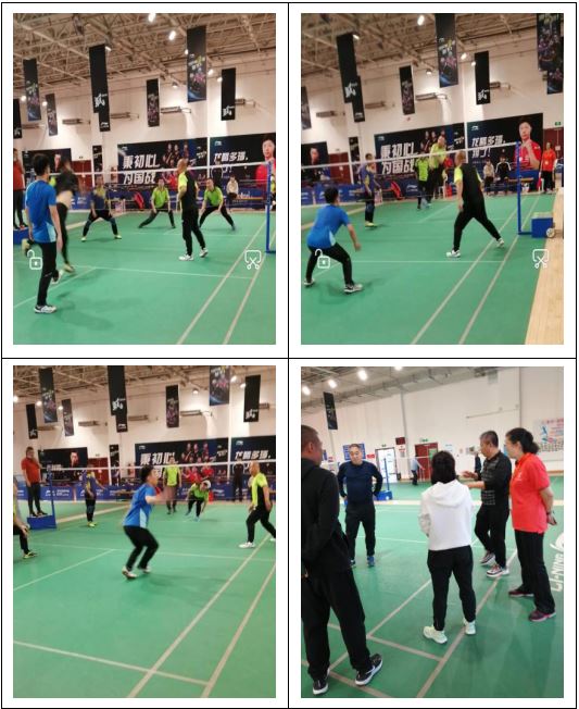 手扑球,手扑球场地图片