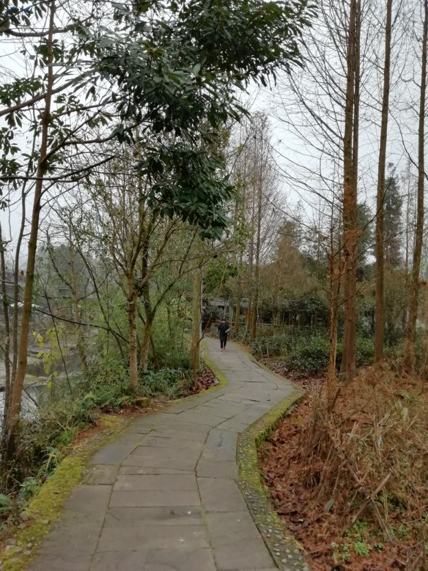 上里古镇游览线路,上里古镇免费一日游