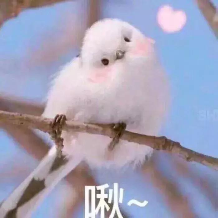 如何低价买到大牌正品口红,怎么便宜买到大牌口红正装