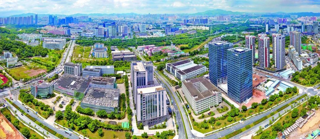 特区40周年相片,特区四十周年