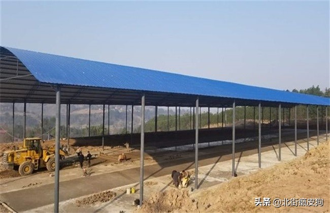 农村年轻人致富小妙招,农村发家致富的小项目