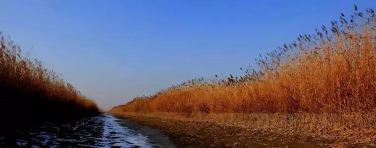 冬季美景塞罕坝,冬季旅游景点推荐唐山