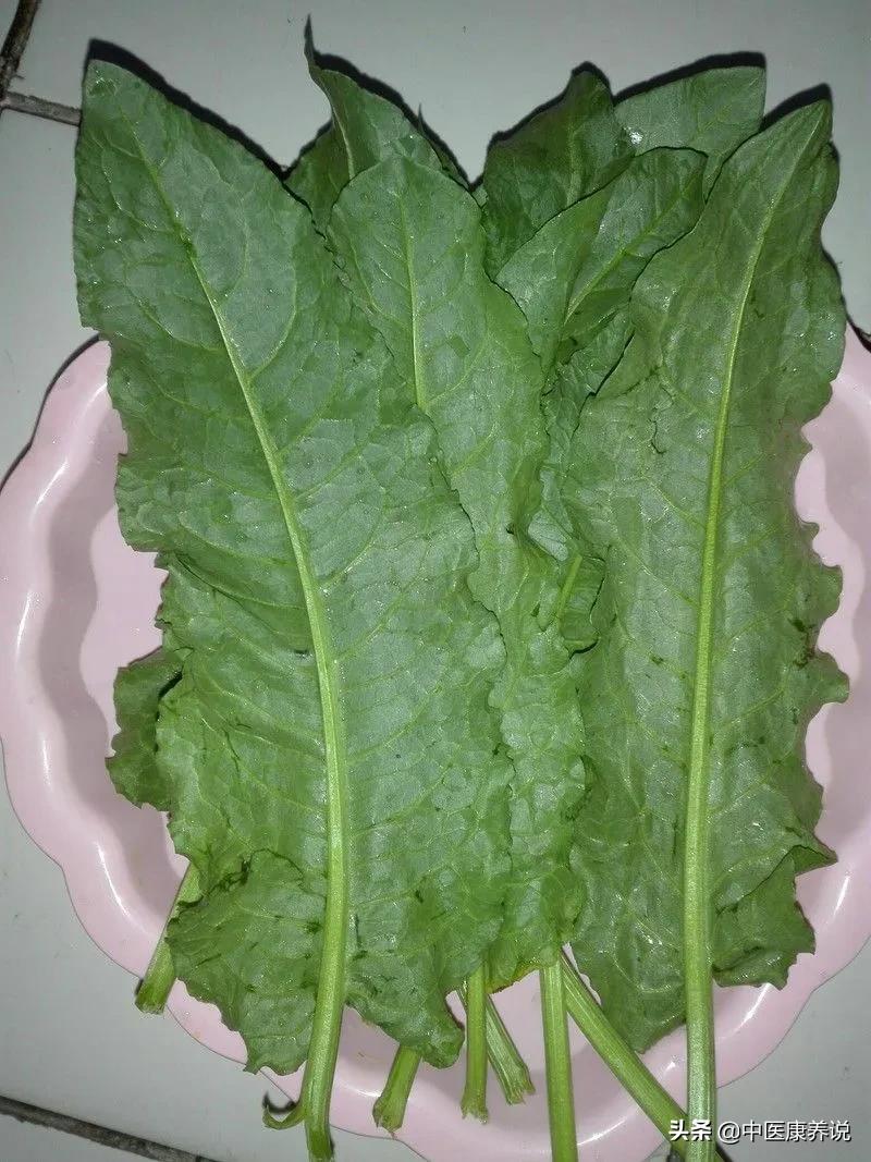 药食同源56课视频,板蓝根药食同源