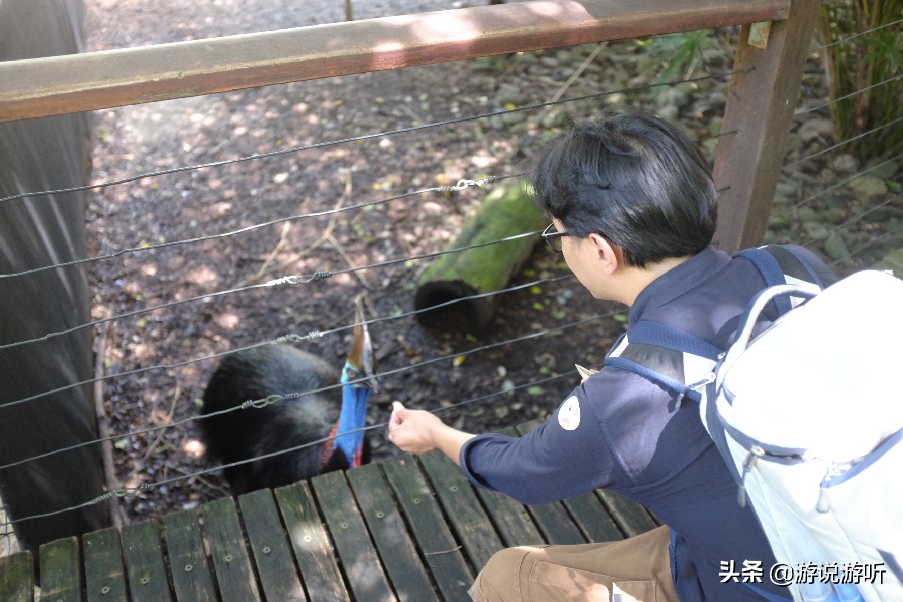 疫情下的旅游从业者,疫情下旅游从业者的新思路