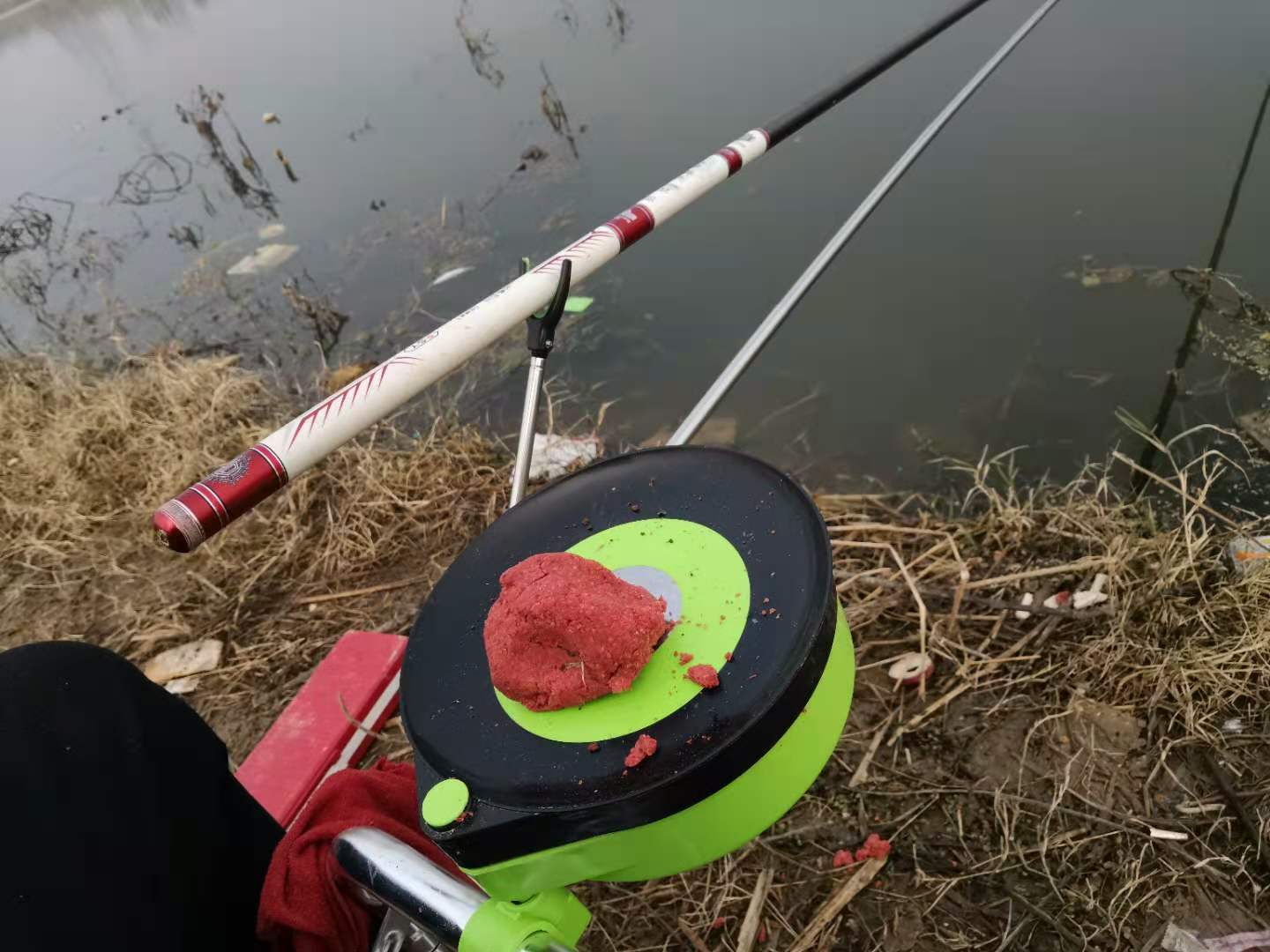 新手野钓带几根鱼竿 (钓鱼人一般带几根鱼竿)