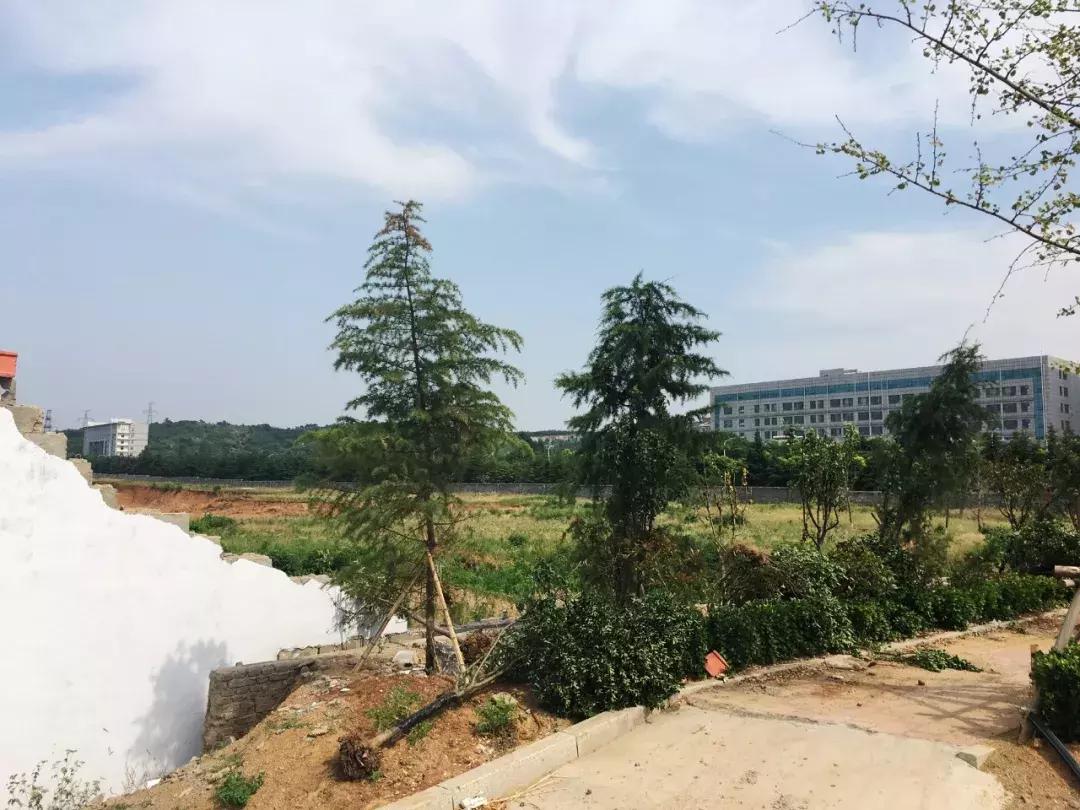 枣庄新城正在建设的房子,枣庄新城的项目