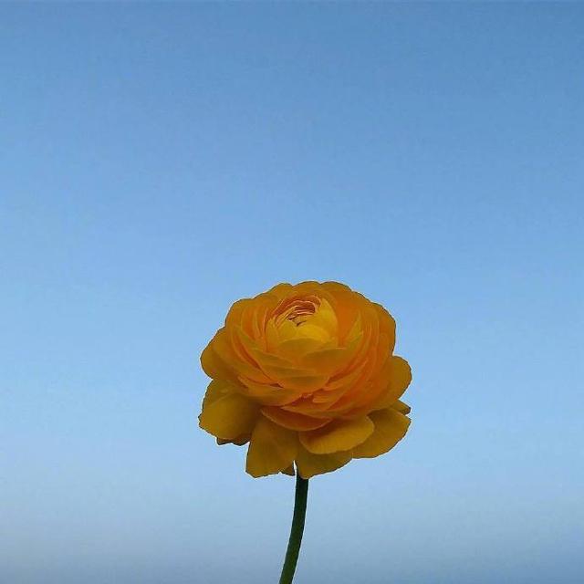 让人想点赞的朋友圈积极向上句子,积极向上的诗句唯美句子