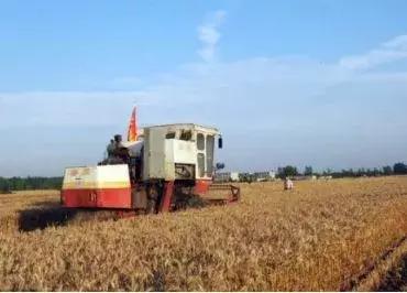 新型农业产业扶持政策,农业种植行业扶持政策