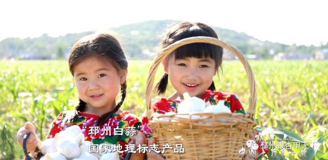 邳州大蒜与金乡大蒜,关于邳州特产大蒜介绍