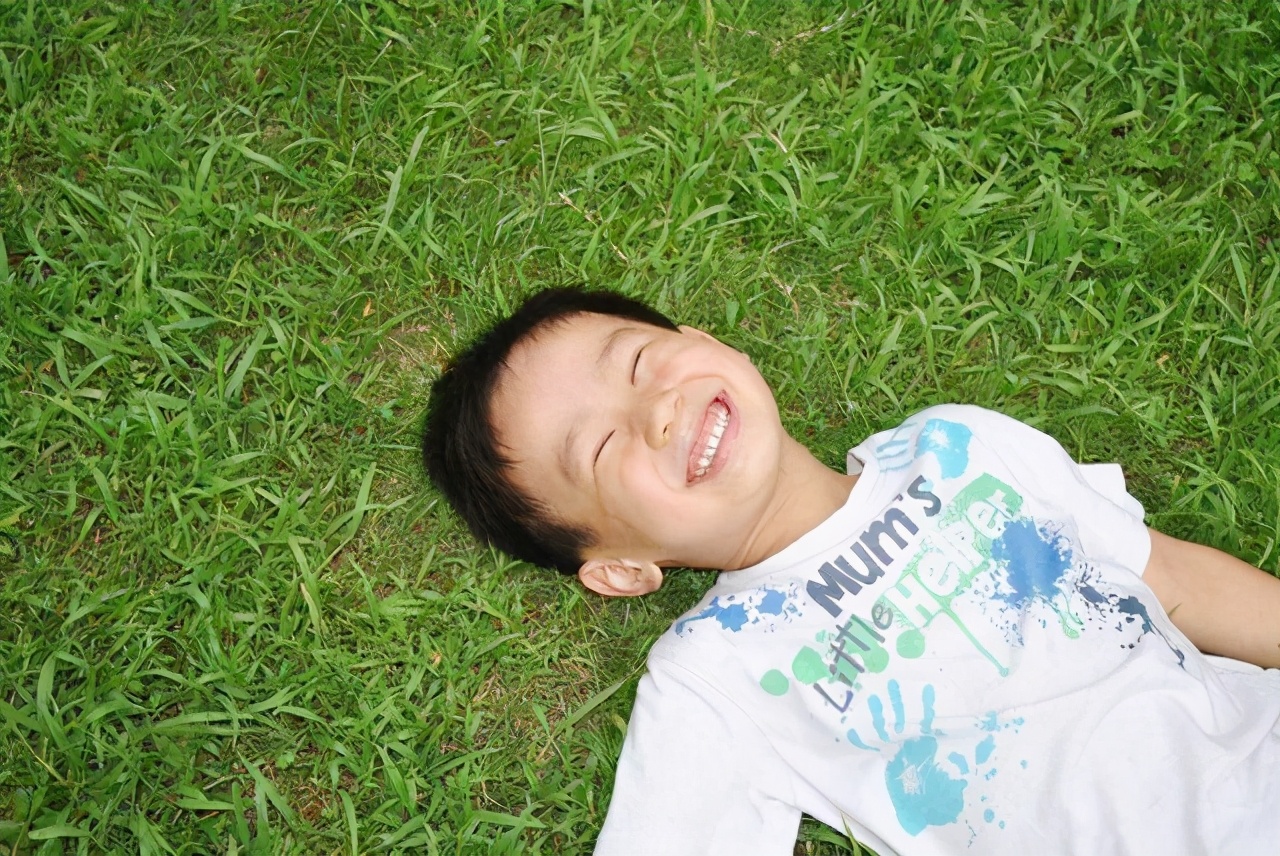 哈佛儿童发展实验,哈佛对小孩智力的研究