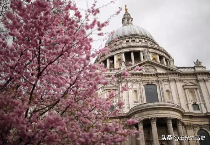 巴西为什么成为日本人的天堂,巴西号称日本人第二故乡