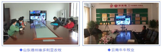 3+2联合培养弊端,3+2联合培养好不好