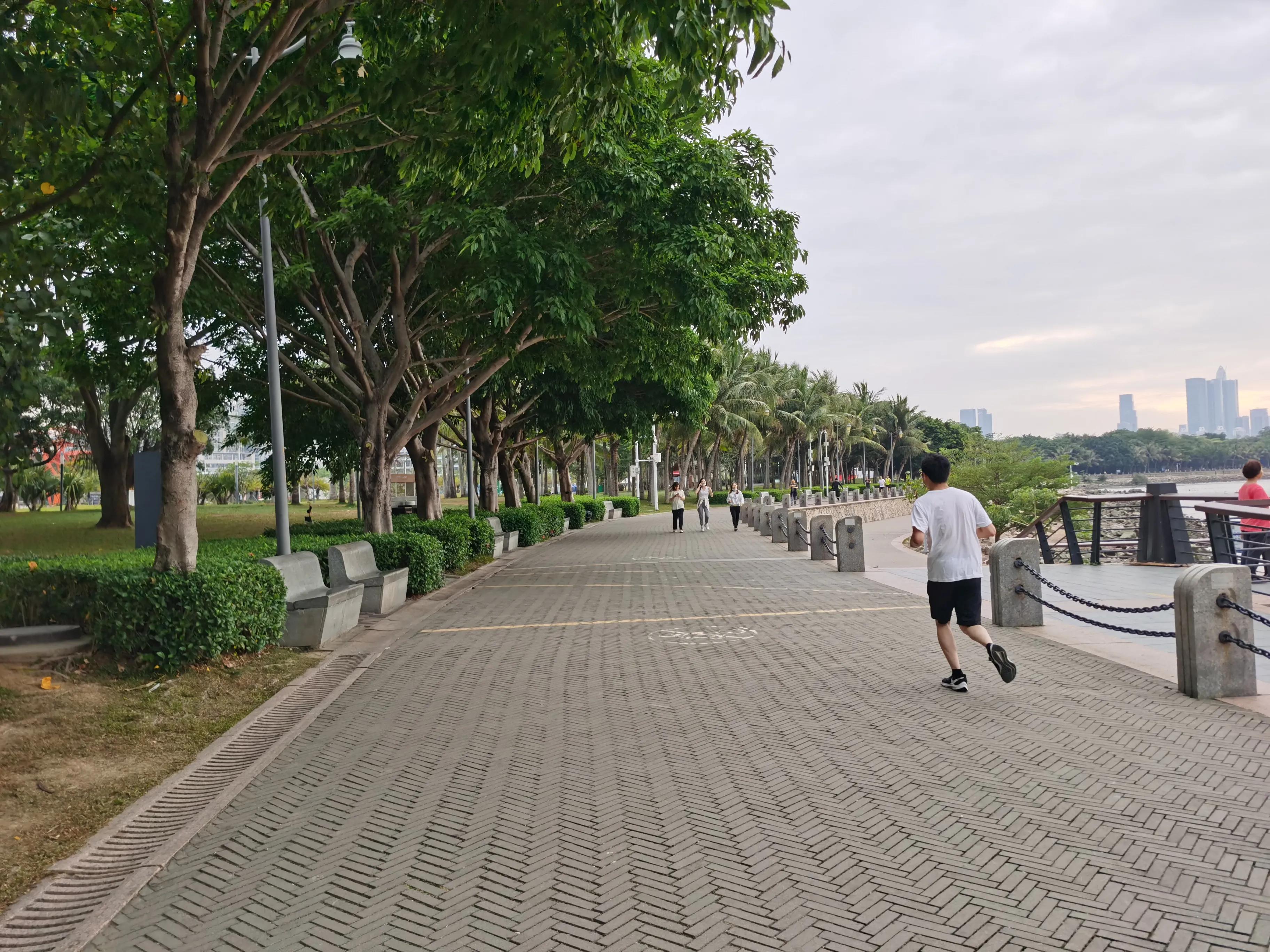 深圳湾对比华侨城,深圳湾对比北外滩