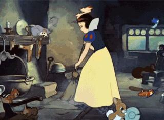 猫咪掉毛很严重补充什么维生素,猫咪脚上突然斑秃掉毛是怎么回事