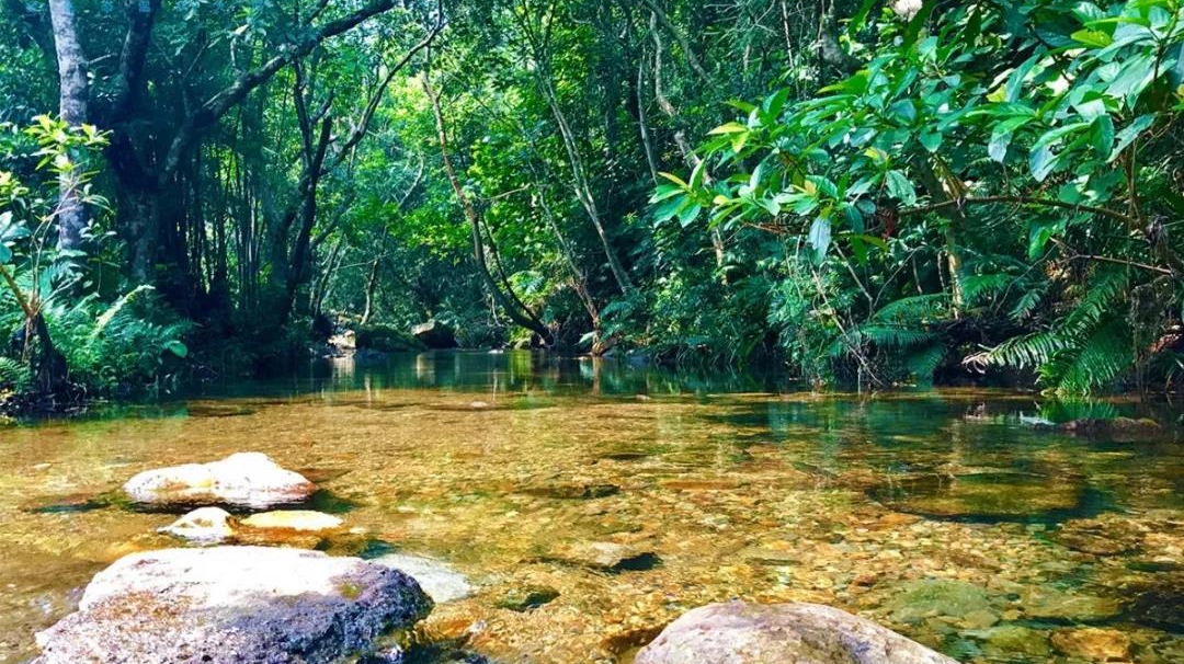 深圳周边私人温泉酒店,深圳东部华侨城温泉茵特拉根温泉