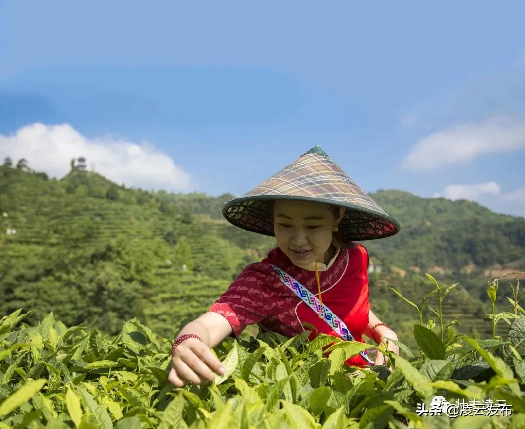 凌云未来发展潜力,凌云投资100亿